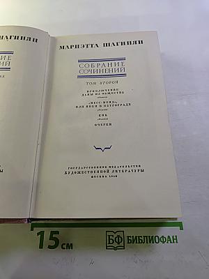 Собрание сочинений. Том второй: Приключение дамы из общества, Месс-Менд, Пинки и Петрограде, Кик, Очерки