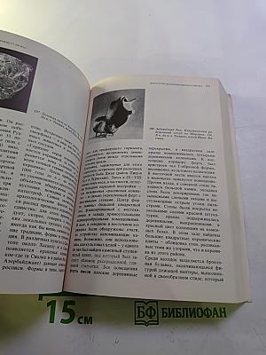 Малая история искусств: Искусство Древнего Востока