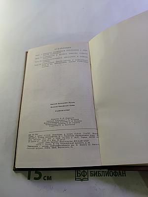 Радиомастер