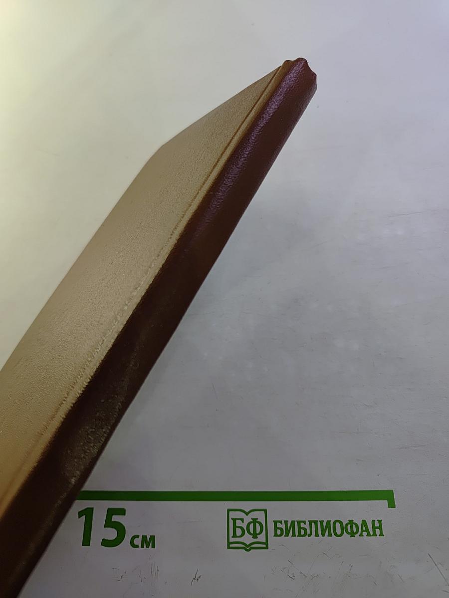 Радиомастер