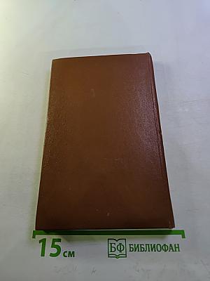 Радиомастер