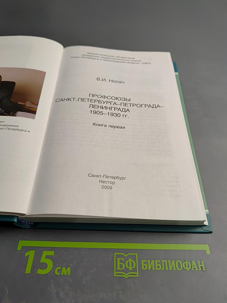 Профсоюзы Санкт-Петербурга-Петрограда-Ленинграда 1905-1930 гг. Книга первая