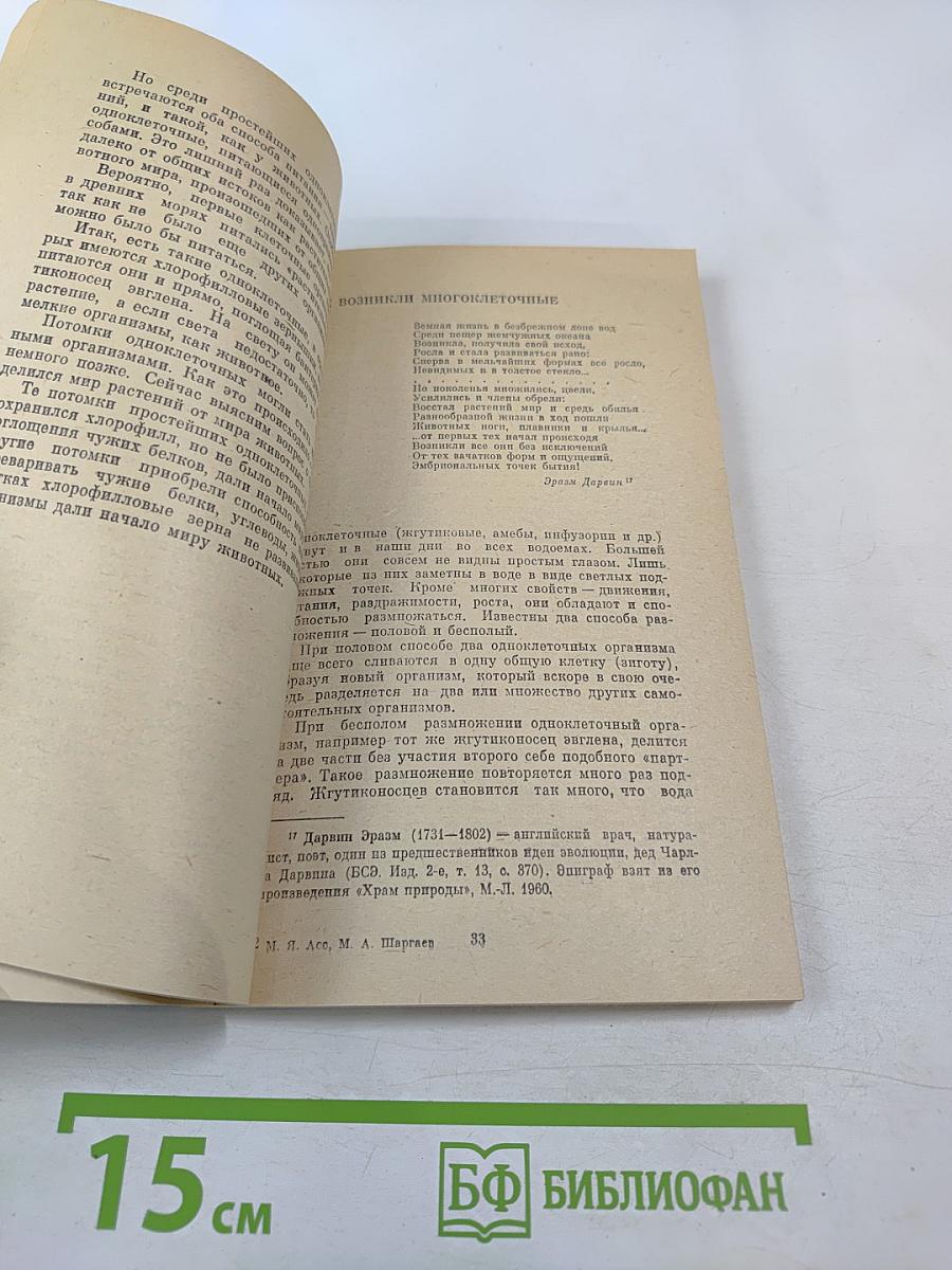 Очерки о филогении и охране животного мира