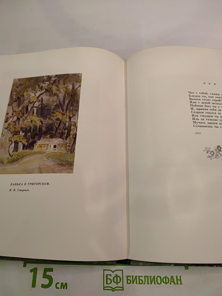 Под вашу сень, Михайловские рощи...