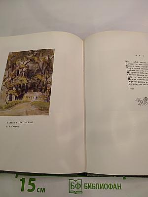 Под вашу сень, Михайловские рощи...