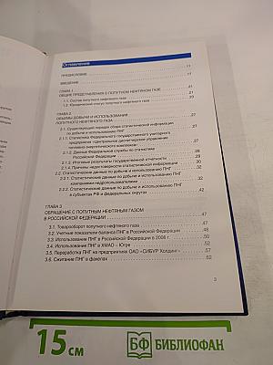 Стратегия использования попутного нефтяного газа в Российской Федерации