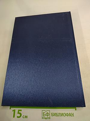 Стратегия использования попутного нефтяного газа в Российской Федерации