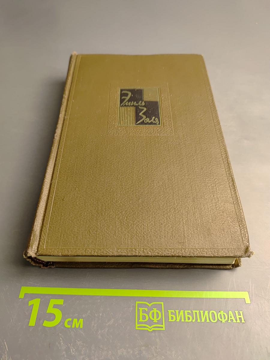 Собрание сочинений. Том восьмой: Накинь