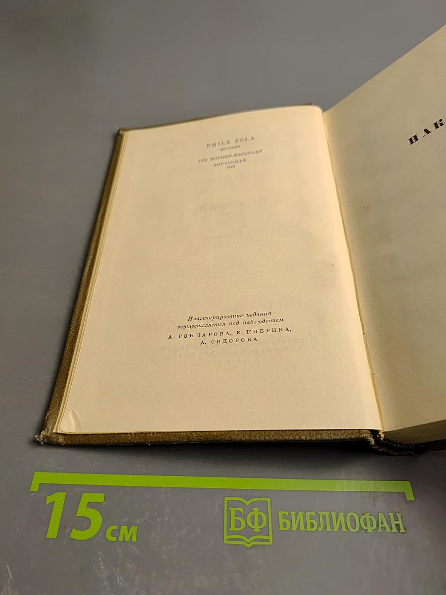 Собрание сочинений. Том восьмой: Накинь