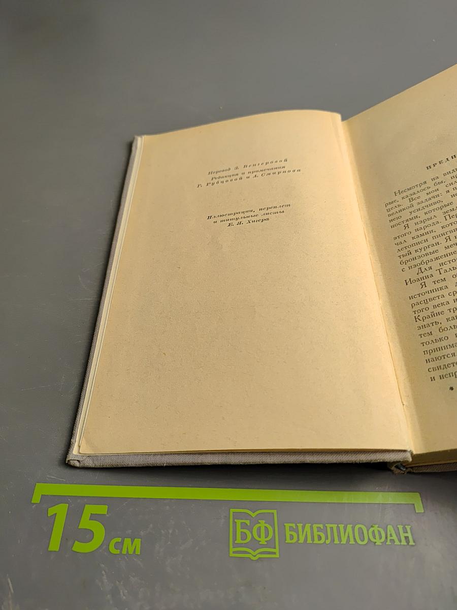 Остров пингвинов