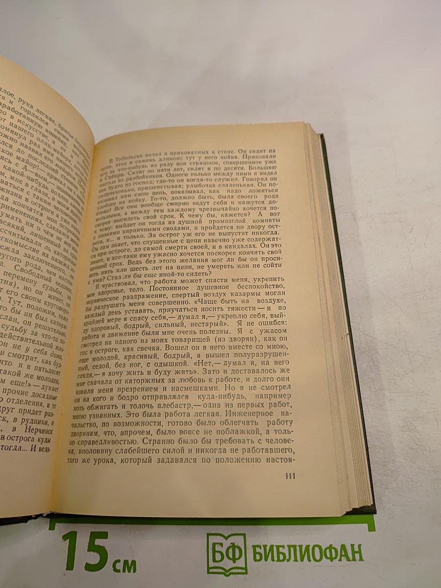 Записки из Мертвого дома. Рассказы