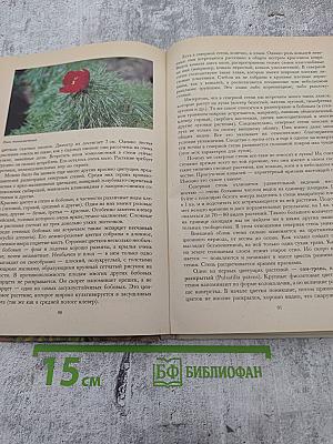 Растительный мир нашей Родины