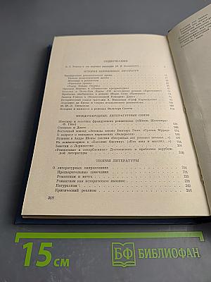 История и теория литературы