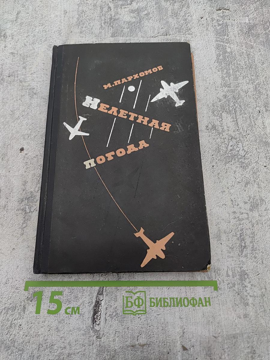 Нелетная погода