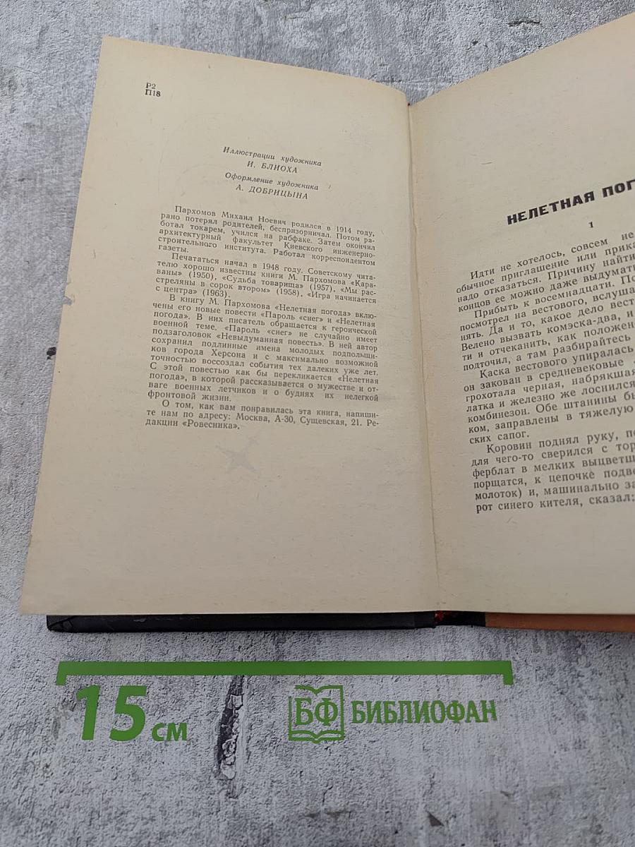 Нелетная погода