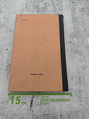 Нелетная погода