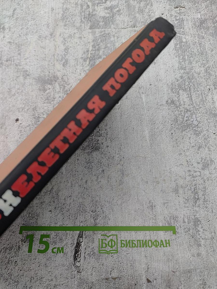 Нелетная погода