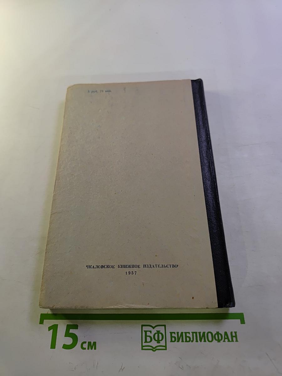 Серебряные коньки или Ганс Бринкер