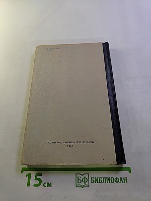 Серебряные коньки или Ганс Бринкер