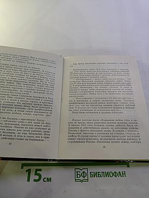 Товарищ Артур, кто вы?