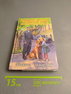 Как Трисон стал полицейским, или Правила добрых дел
