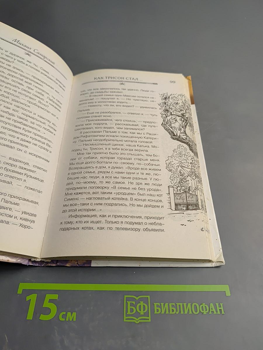 Как Трисон стал полицейским, или Правила добрых дел