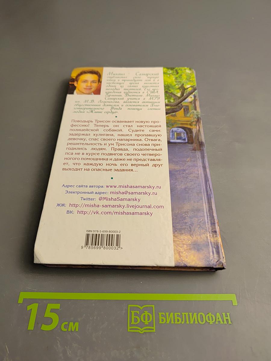 Как Трисон стал полицейским, или Правила добрых дел