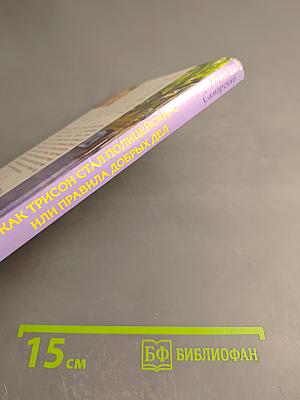 Как Трисон стал полицейским, или Правила добрых дел