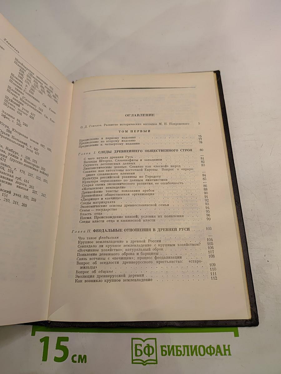Избранные произведения. Книга I. Русская история с древнейших времен (тома I и II)