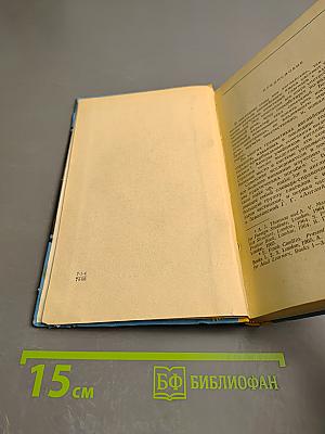 Без них не обойтись в английской разговорной речи