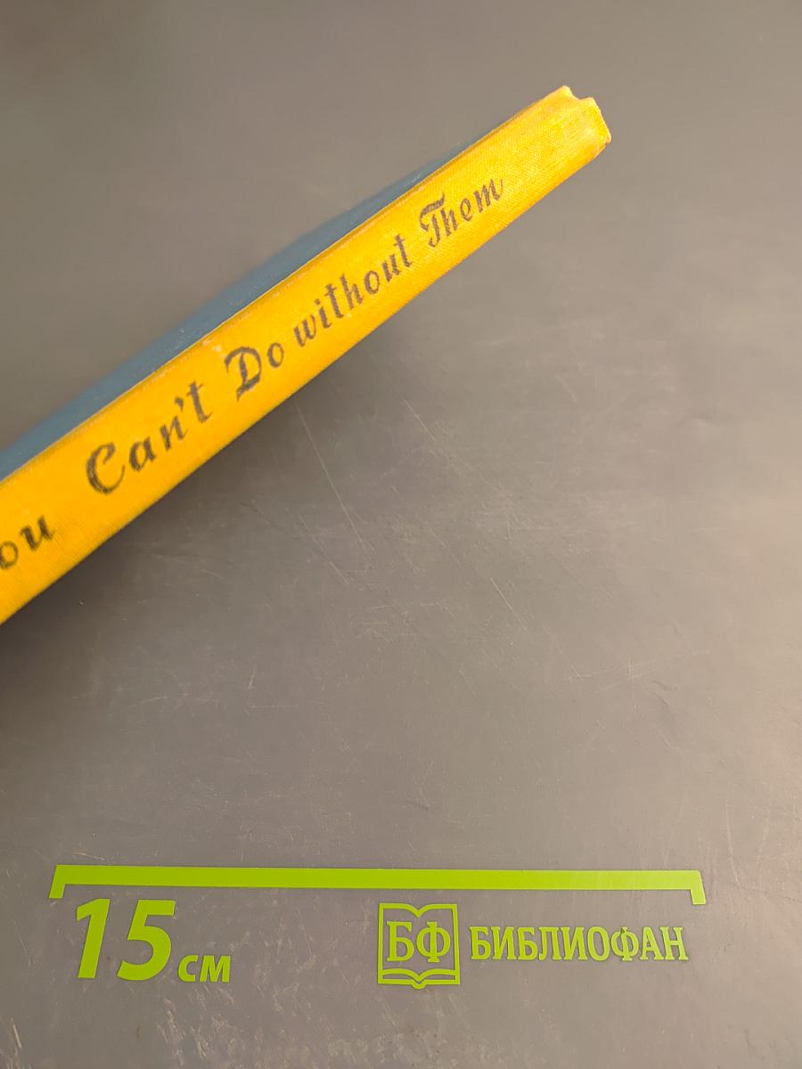 Без них не обойтись в английской разговорной речи