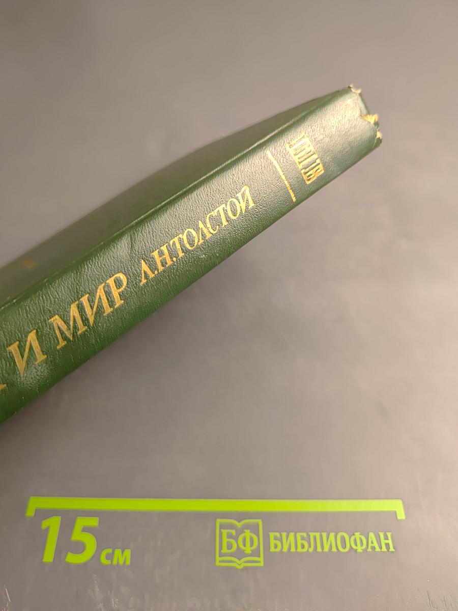 Война и мир. Том четвертый