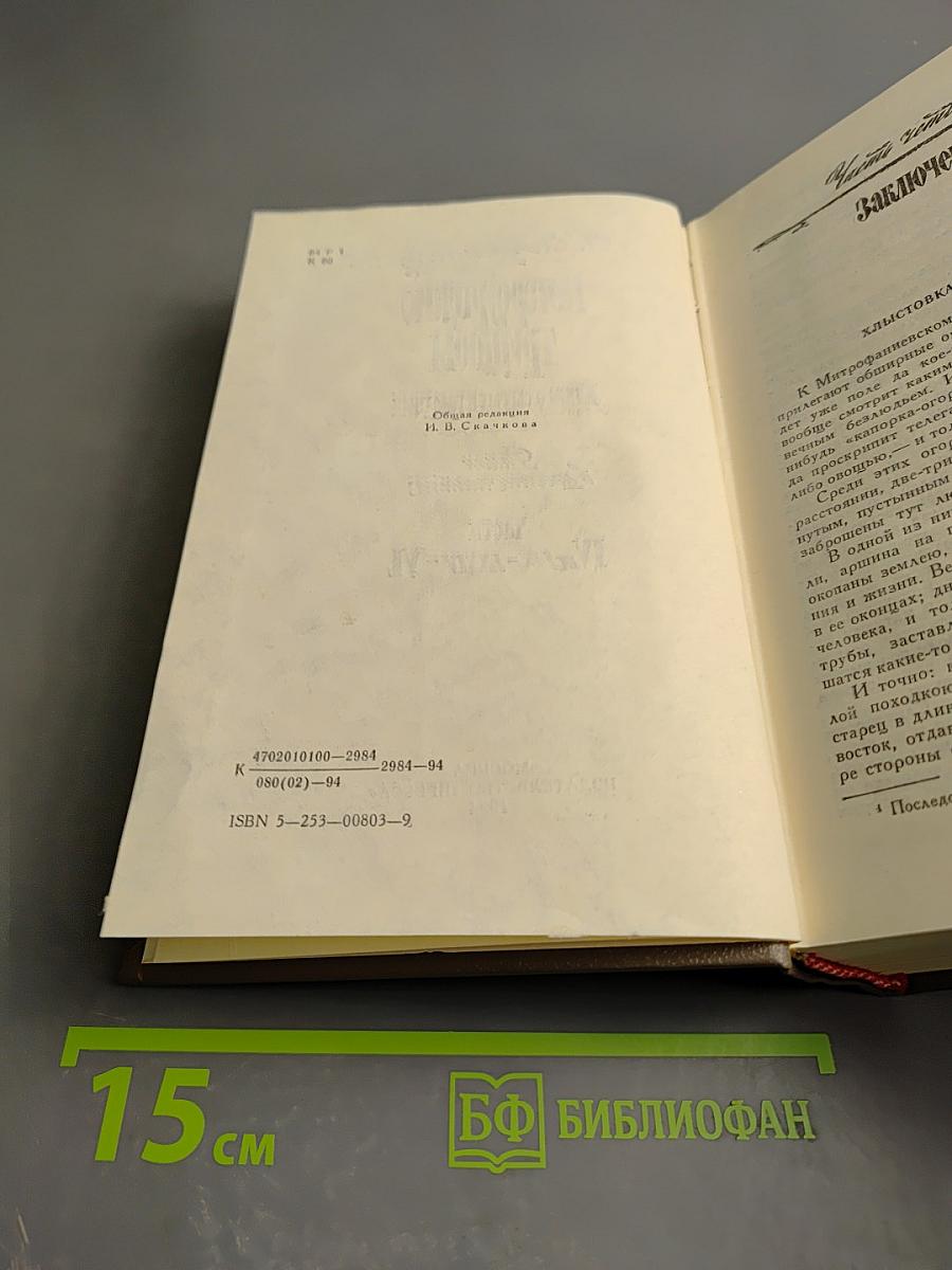 Петербургские трущобы. Книга о сытых и голодных. Части IV, V, VI