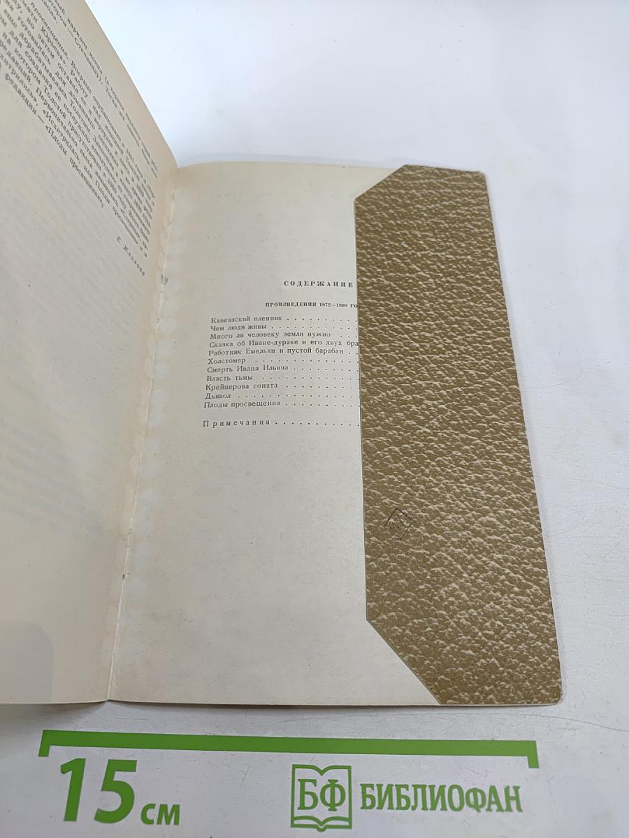 Собрание сочинений. Том 10. Произведения 1872-1890 годов