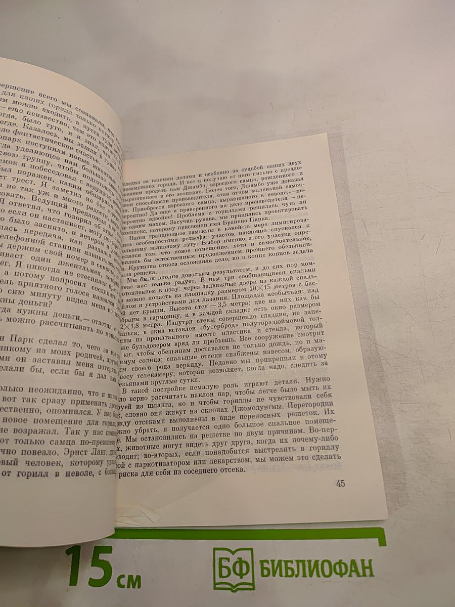 Ковчег на острове