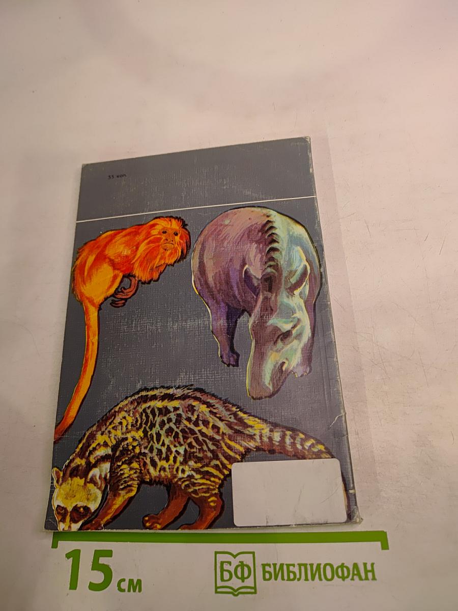 Ковчег на острове