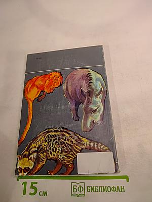 Ковчег на острове