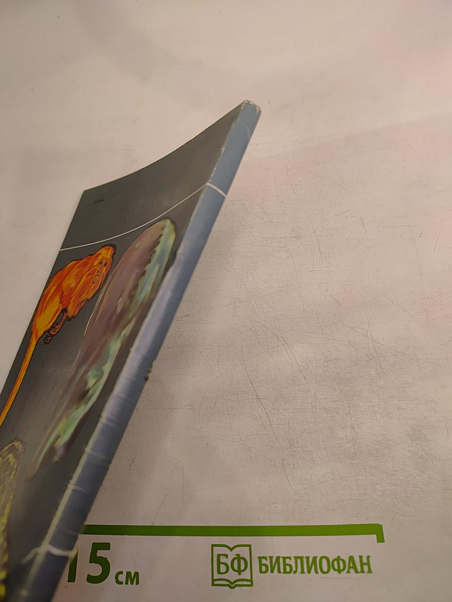 Ковчег на острове