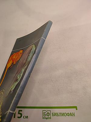 Ковчег на острове