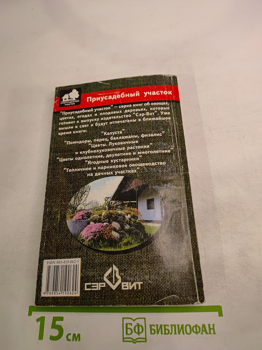 Обустройство участка и сада