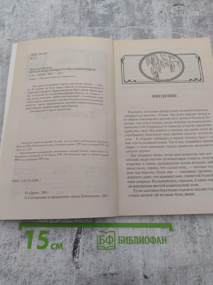 Берёза исцеляющая и омолаживающая