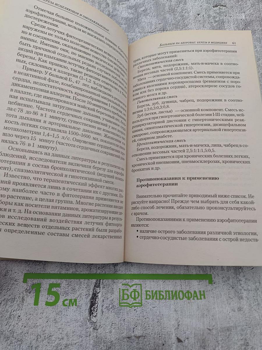 Берёза исцеляющая и омолаживающая