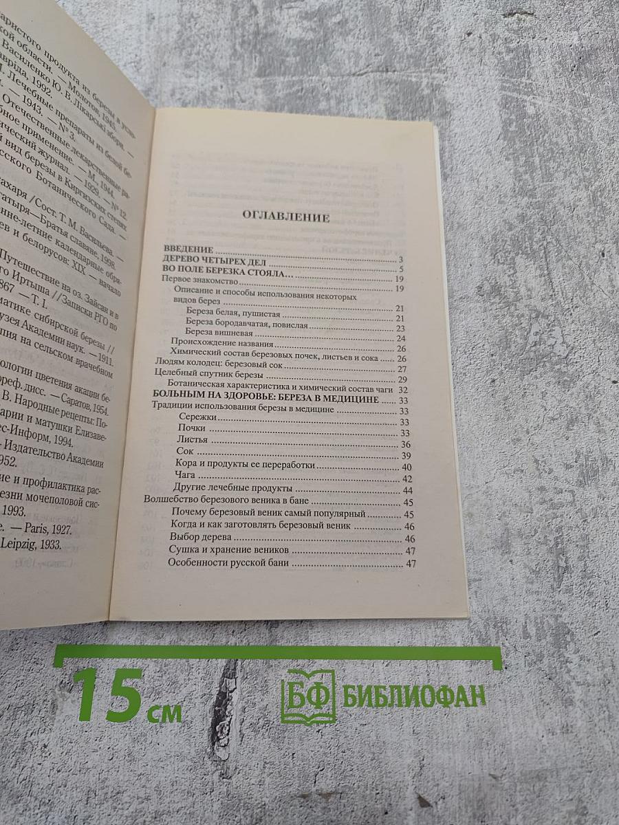 Берёза исцеляющая и омолаживающая