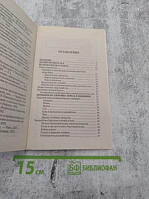 Берёза исцеляющая и омолаживающая