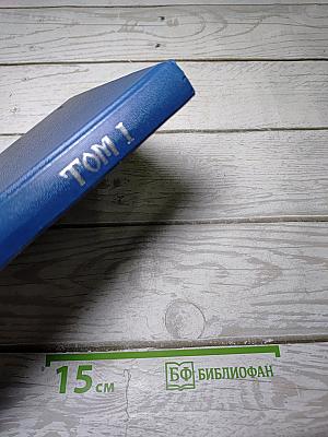 Три века. Россия от смуты до нашего времени. Том I