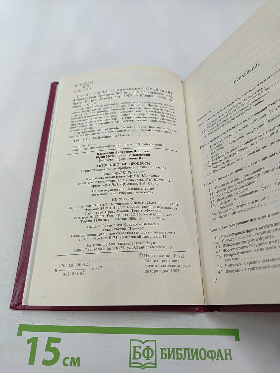 Автоволновые процессы