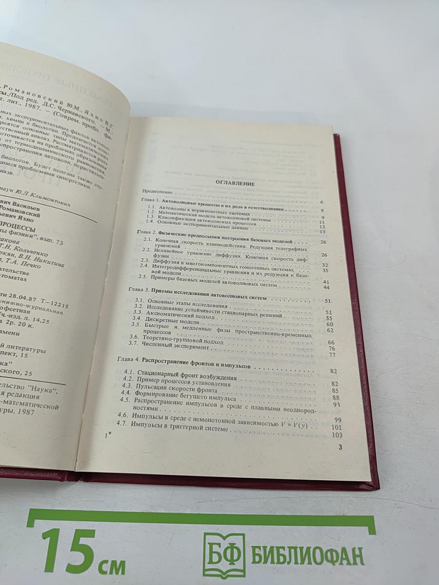 Автоволновые процессы