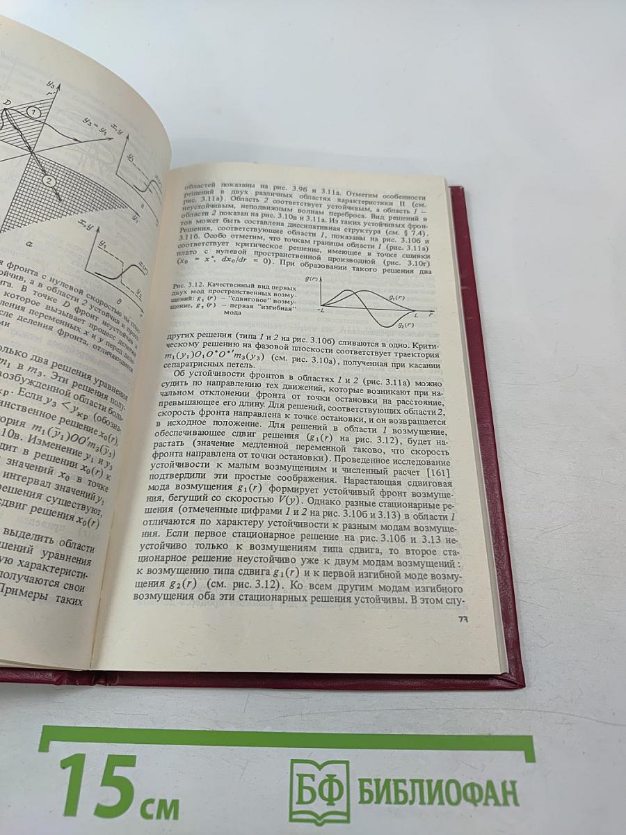 Автоволновые процессы