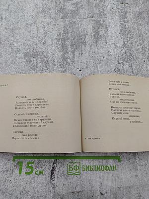 Рудник радости