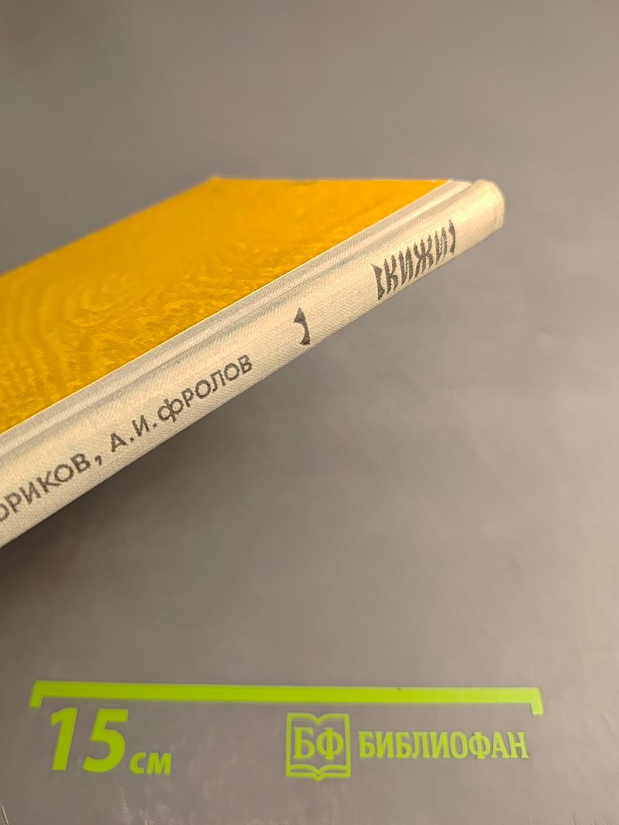 Кижи. Иллюстрированный спутник по историко-архитектурному и этнографическому музею-заповеднику